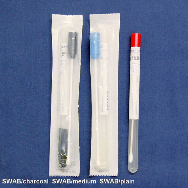 SWAB/plain -  Plain culture swab in tube - Sterile